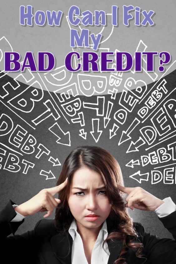 How to Build Your Credit: